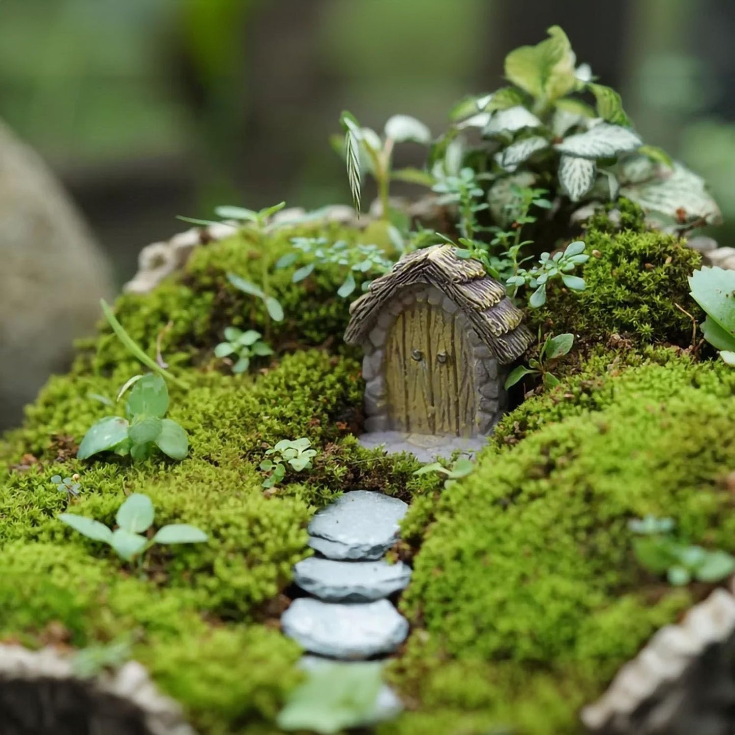 Puerta de hadas arco circular para terrario jardín miniatura