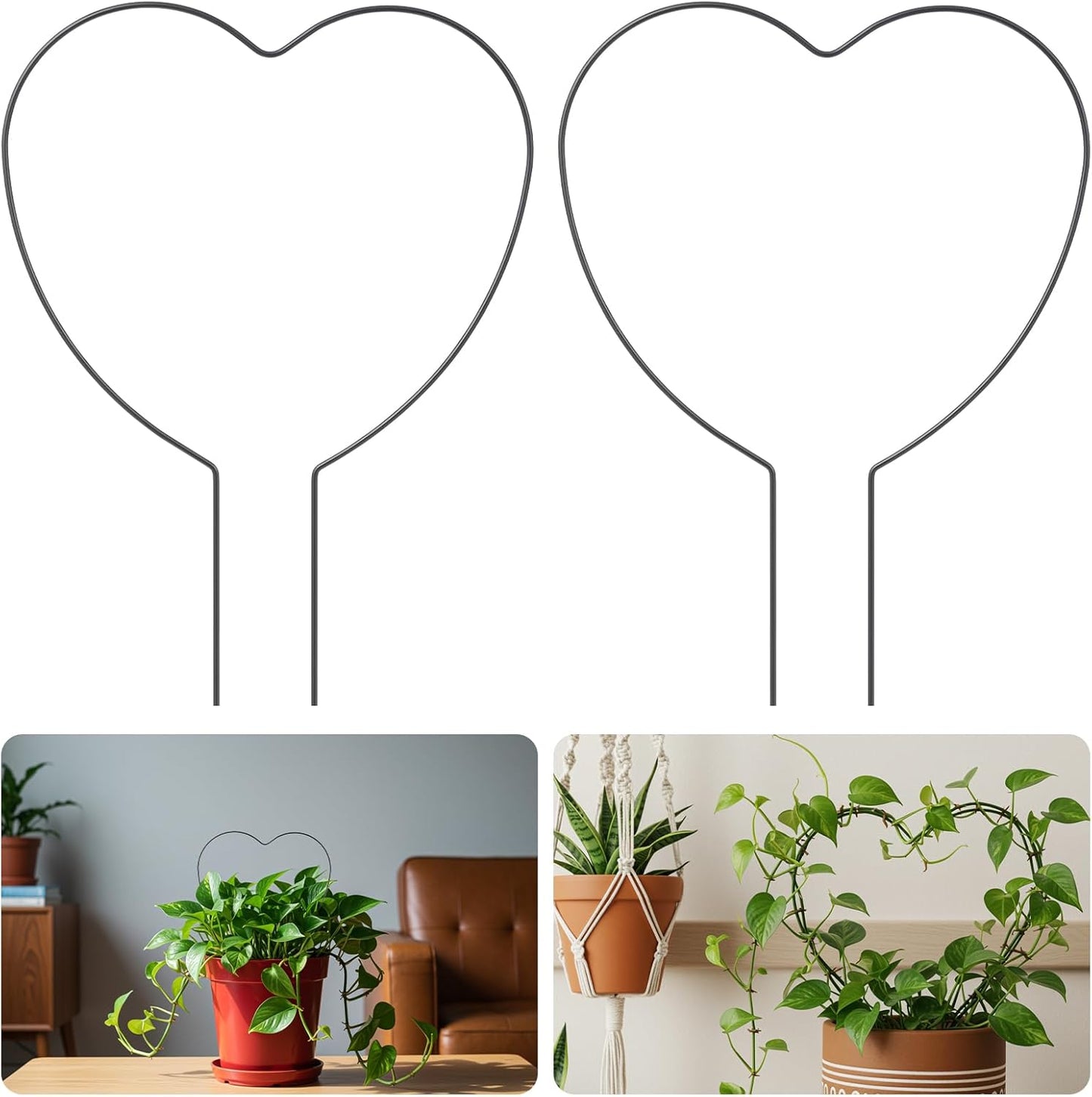 2 Pzas Soporte Pothos Hierro Negro para Plantas Trepadoras
