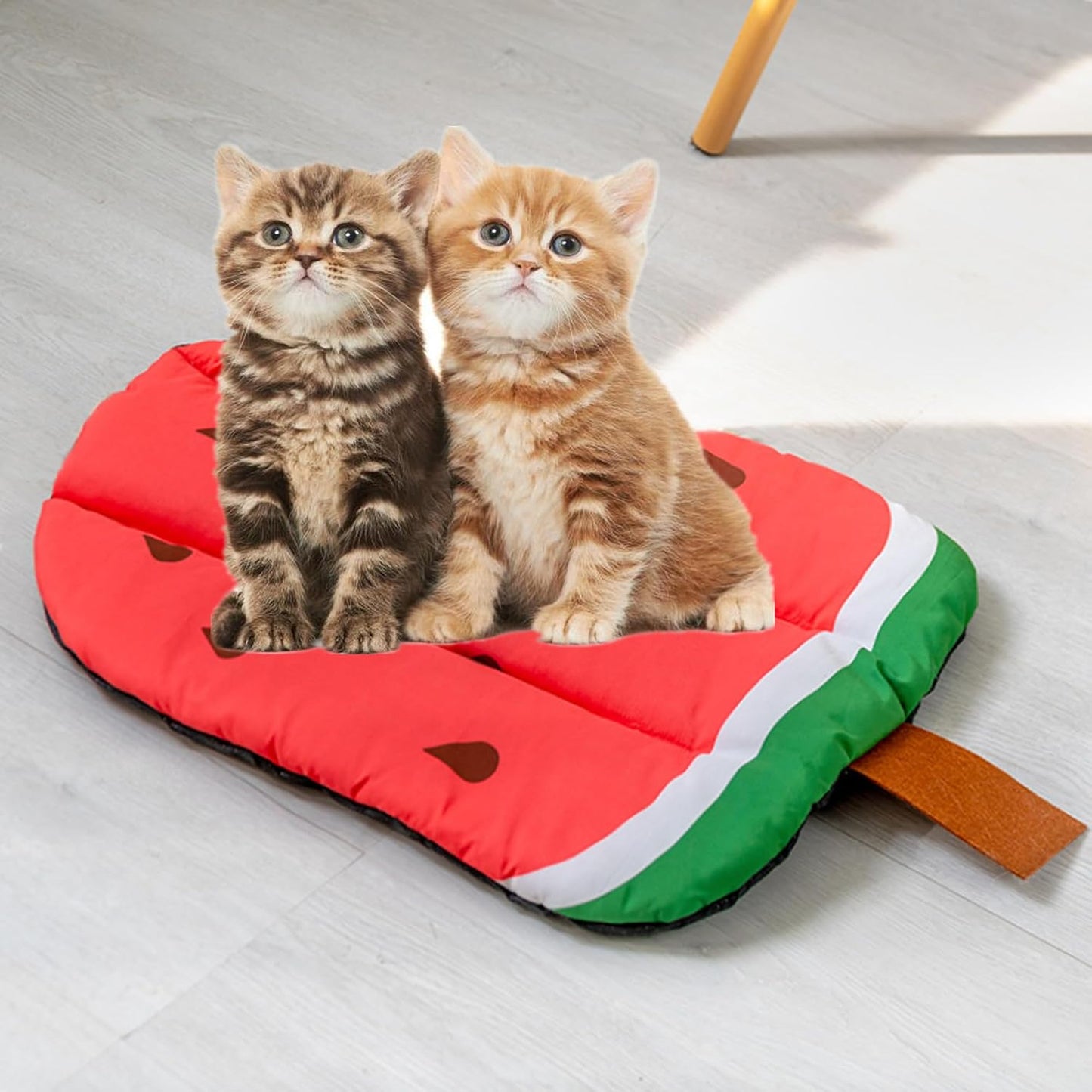 Almohadilla para mascotas con patrón frutas lavable
