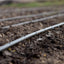 Rollo tubería goteo 1/4pulg emisor 6pulg 52GPH negro 50pies