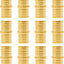 Pack 12 Pzas Acoplamiento PEX 1pulg Latón Sin Plomo