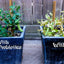 Probióticos para Plantas de Jardín 2oz en Polvo