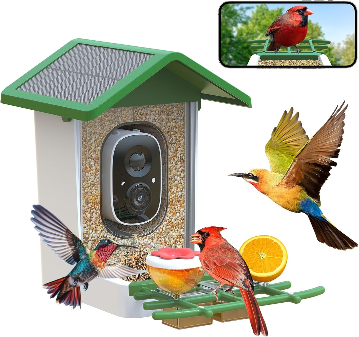 Alimentador inteligente para pájaros con cámara solar