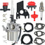 Repuesto carburador soplador nieve Ariens LCT 03121 Poulan