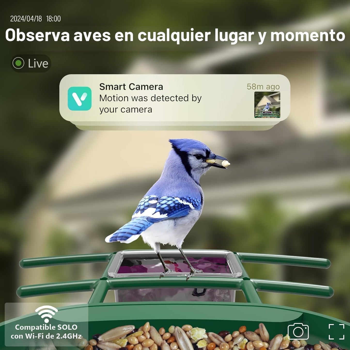 Comedero pájaros con cámara 2K solar WiFi AI