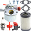 Carburador filtro aire Tecumseh LV148EA LV156EA