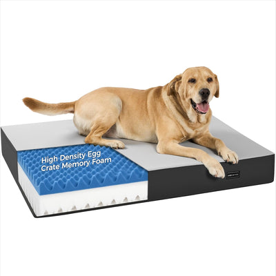 Cama ortopédica perros 5pulg espuma viscoelástica