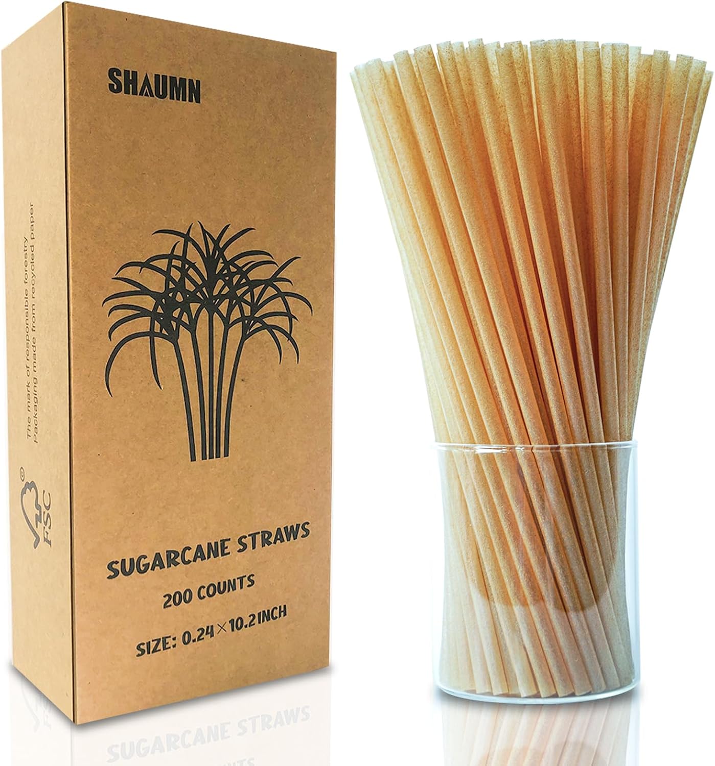 Pajitas biodegradables caña azúcar 10.2pulg 200uds
