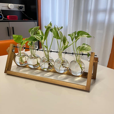Estación propagación plantas 5 jarrones madera vidrio