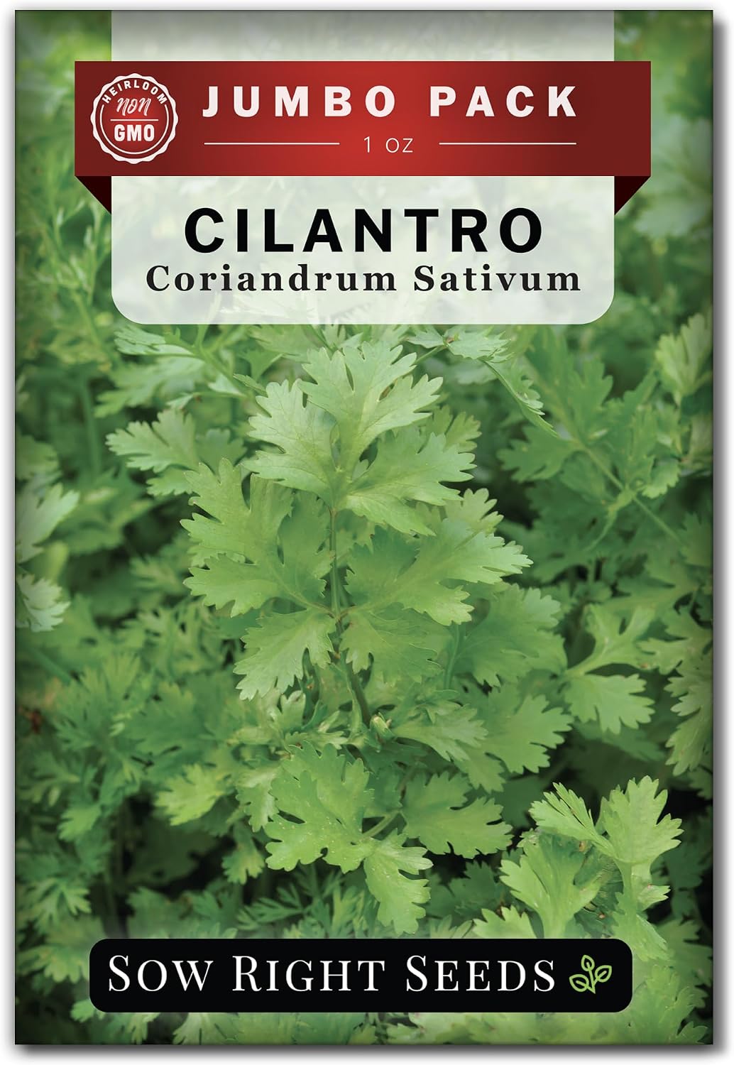 Semillas cilantro a granel 1oz 2000uds paquete jumbo
