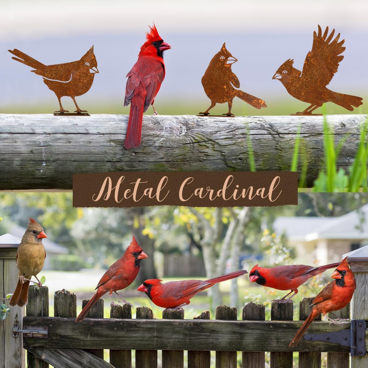 5 Pzas Decoración Pájaros Oxidados Jardín