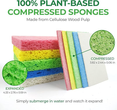 Esponjas celulosa comprimida 16 pzas para cocina compostables