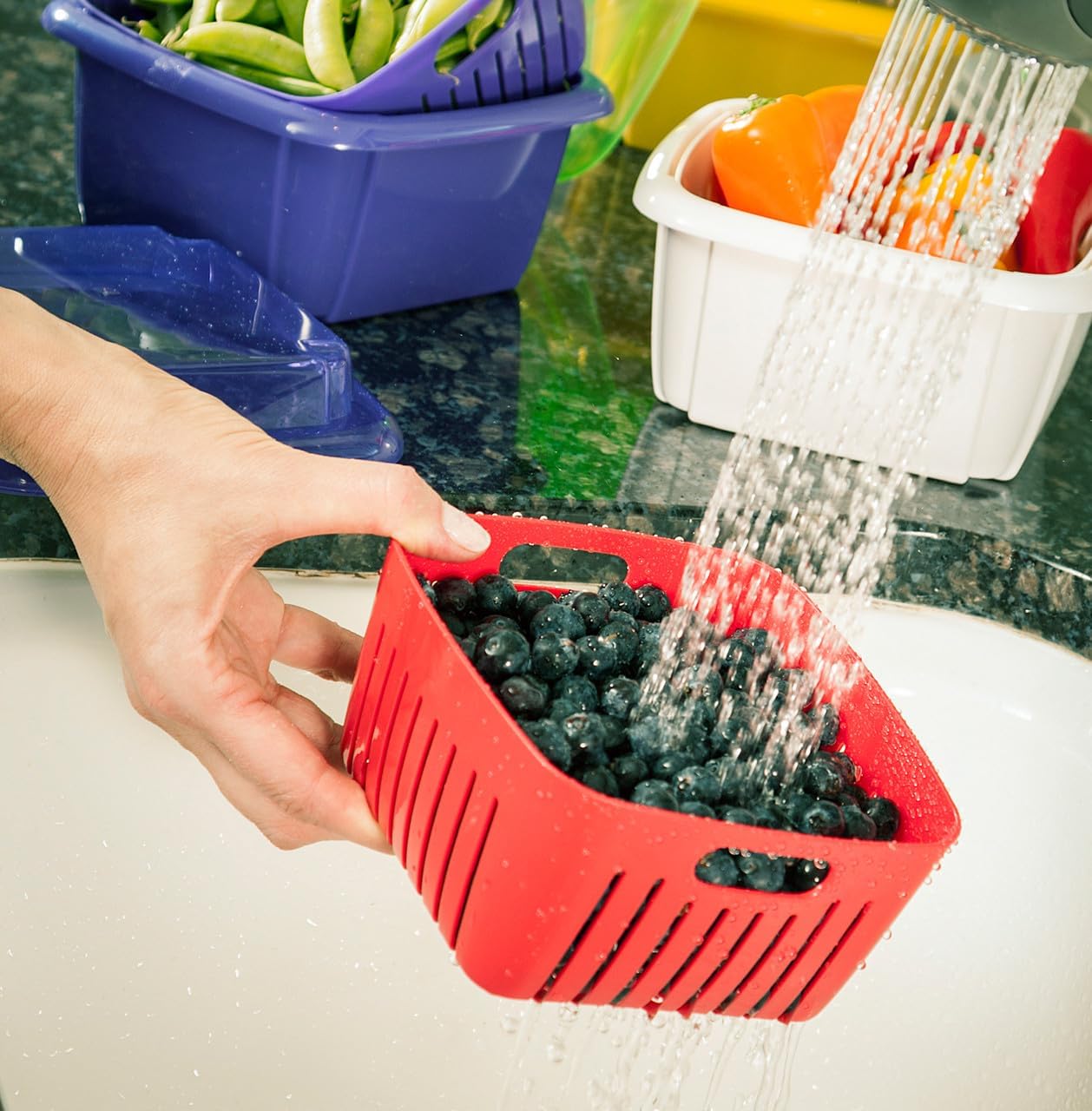Recipiente 3en1 para frutos del bosque