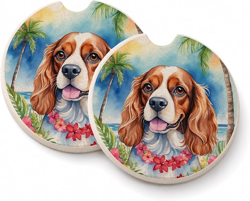 Juego 2 portavasos automóvil arenisca redondos multicolor