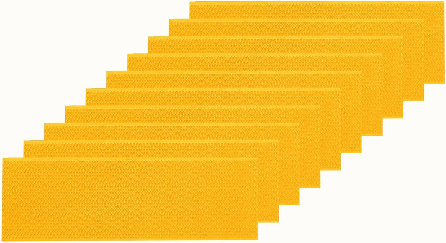 Hoja base colmena con cera 10 Uds 5-5/8"