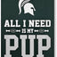 Letrero NCAA Michigan State Spartans PUP Football Yard Sign
