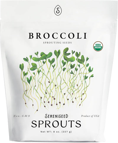 Semillas orgánicas brote brócoli 8oz para germinar