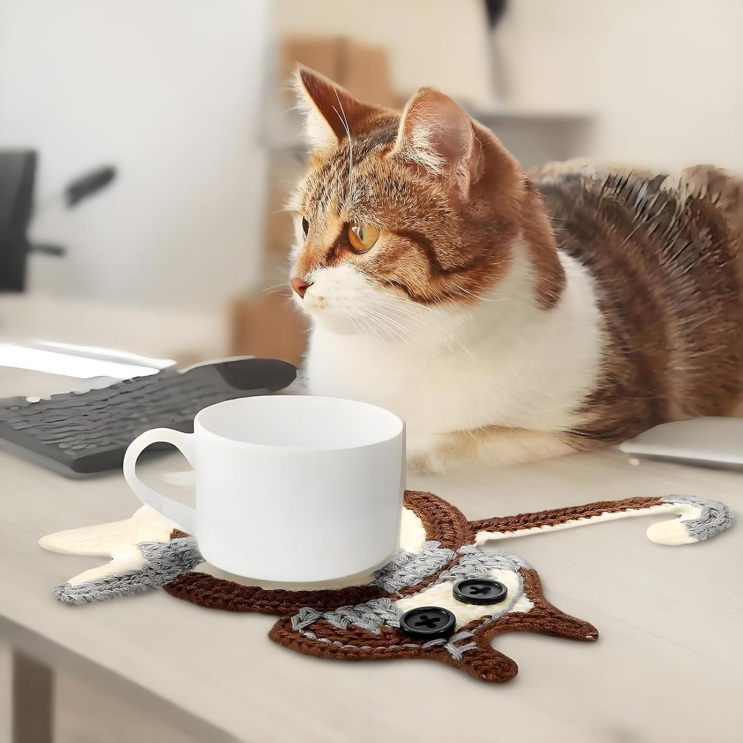 3 Posavasos Tejidos para Gatos Regalo Amantes