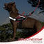 Set arnés chaleco perro 10 parches reflectante