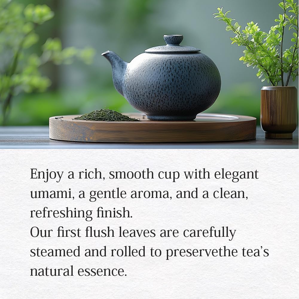 Té verde Uji Sencha Premium hojas sueltas lata 1.41oz