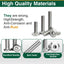 20 Pernos cabeza plana 1/4-20 x 2 acero inox 304