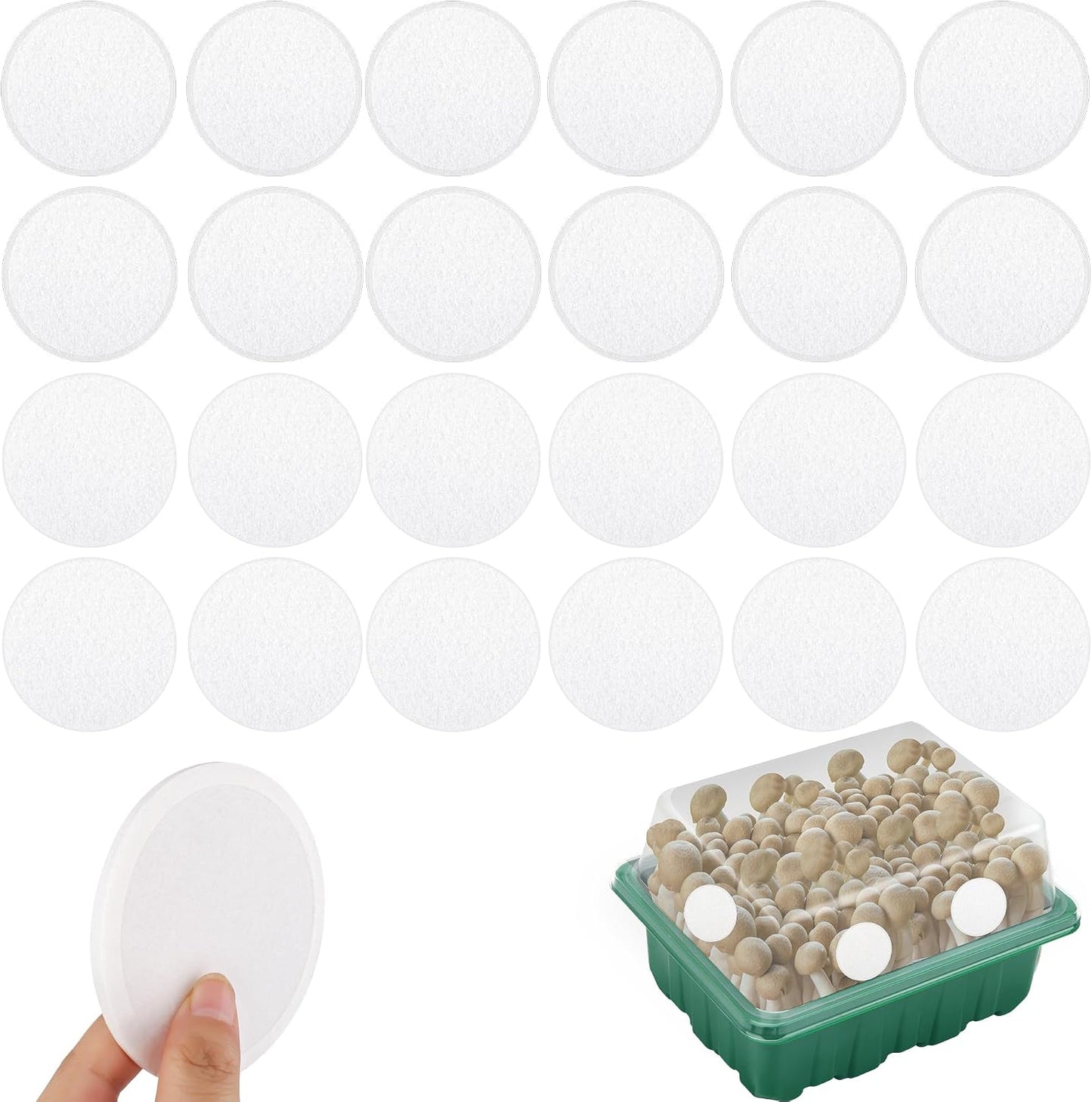 24 Filtros Monotub Autoadhesivos para Cultivo Hongos