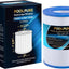 Filtro spa 28 pies cuadrados reemplazo AquaRest Dream Maker