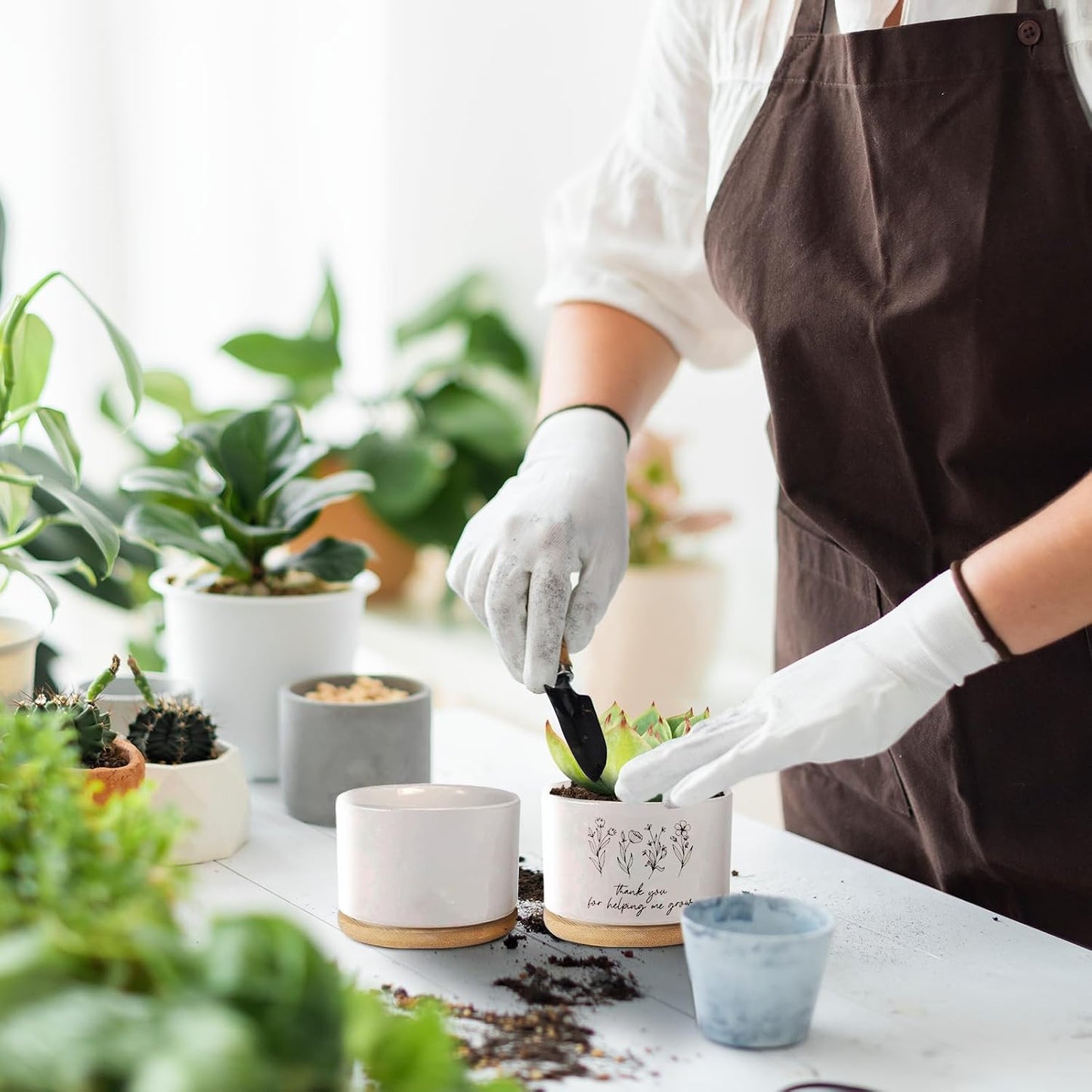 Macetas cerámica para suculentas 3.6" regalo plantas