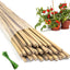 Estacas bambú 18pulg para plantas interior exterior tomates flores