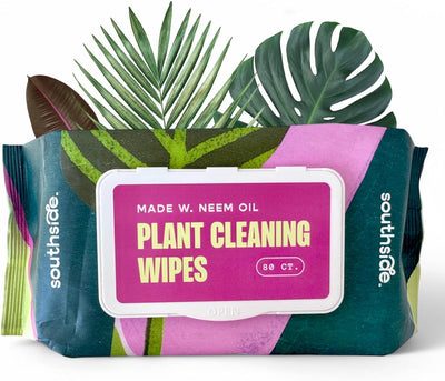 Toallitas limpieza plantas sin perfume 80uds
