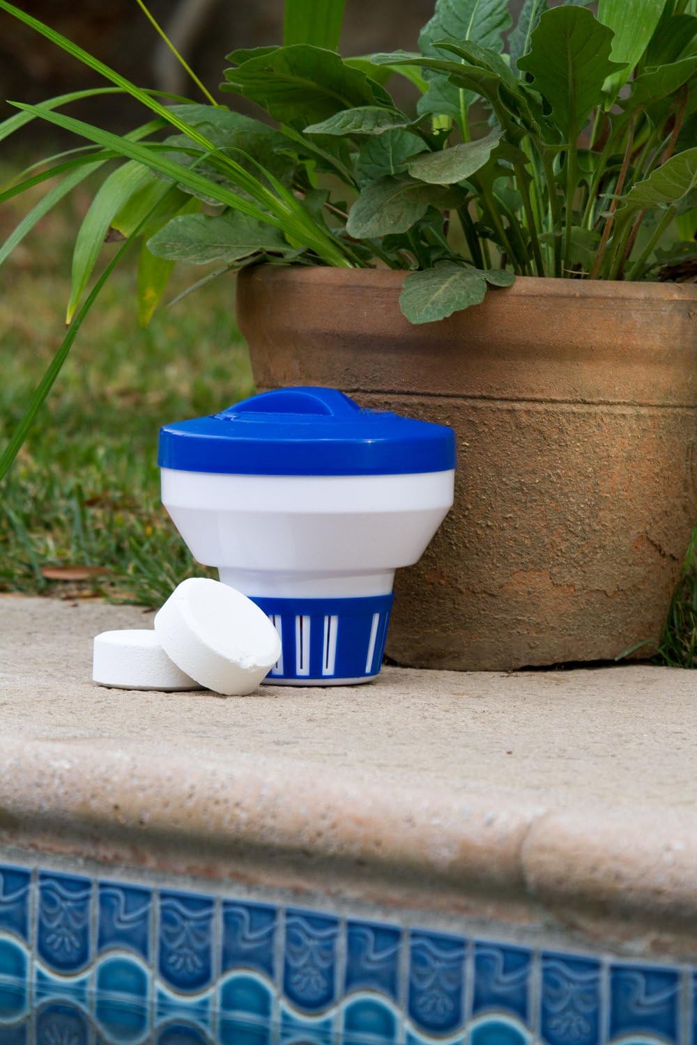 Dispensador flotante cloro piscina Essential