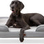 Cama ortopédica perros grandes con funda extraíble gris