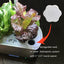 Cubierta espaciadora para Aerogarden blanco 10uds