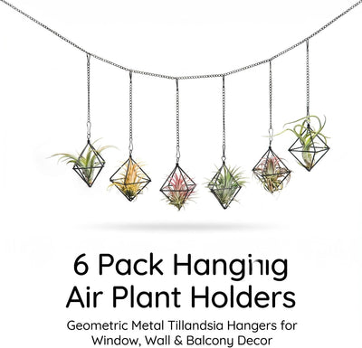 6 Soportes colgantes para plantas aire geométrica metal negro