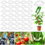 100 Clips Plástico Soporte Plantas Trepadoras Aire Libre