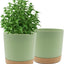 Maceta 10" set 2 con platillo drenaje decoración moderna