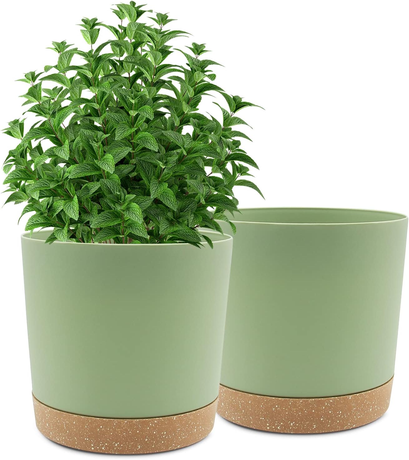 Maceta 10" set 2 con platillo drenaje decoración moderna