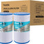 2 Cartuchos Filtro Spa FC-2402 para Watkins