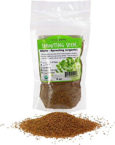 Semilla brote alfalfa orgánica alta germinación comestible