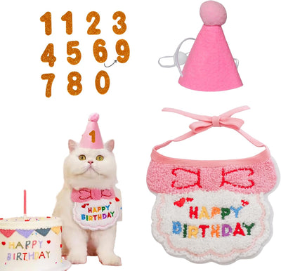 Juego collar rosa fiesta gato sombrero números 0-9 ajustable