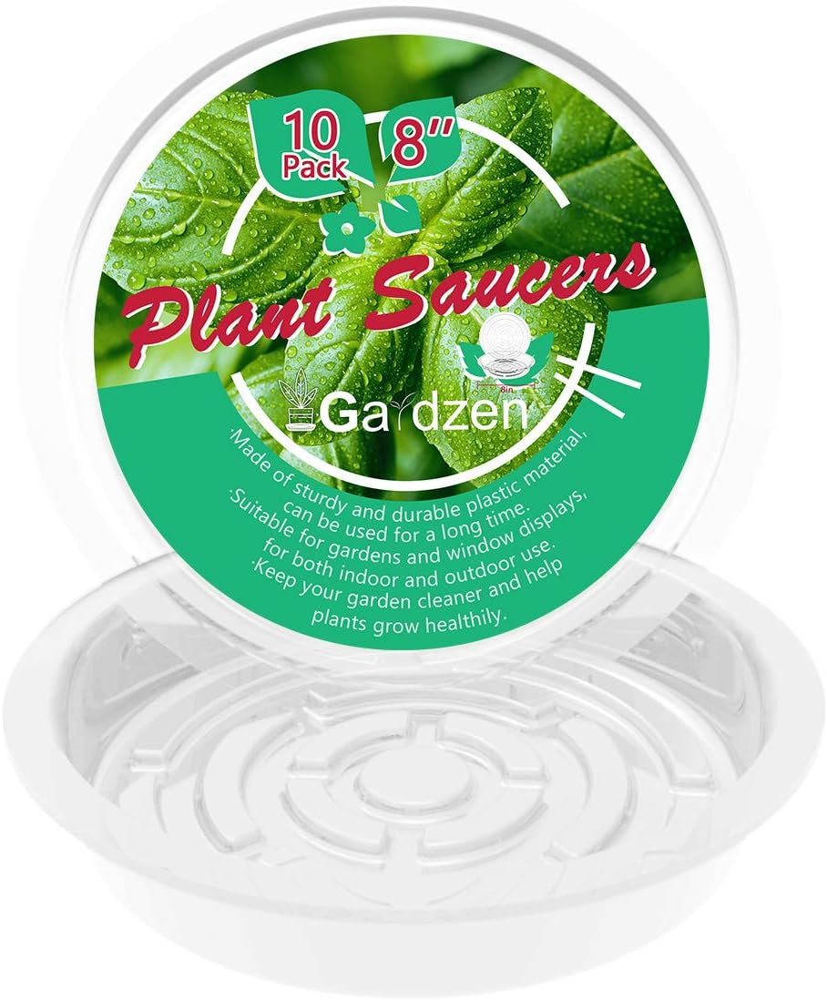 Platos plástico transparente para macetas 8pulg set 10
