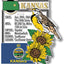 Juego 6 imanes Kansas State 3D vintage coleccionables
