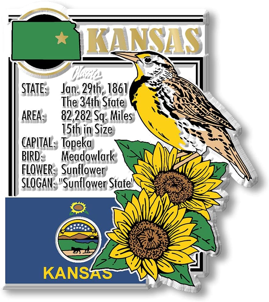 Juego 6 imanes Kansas State 3D vintage coleccionables