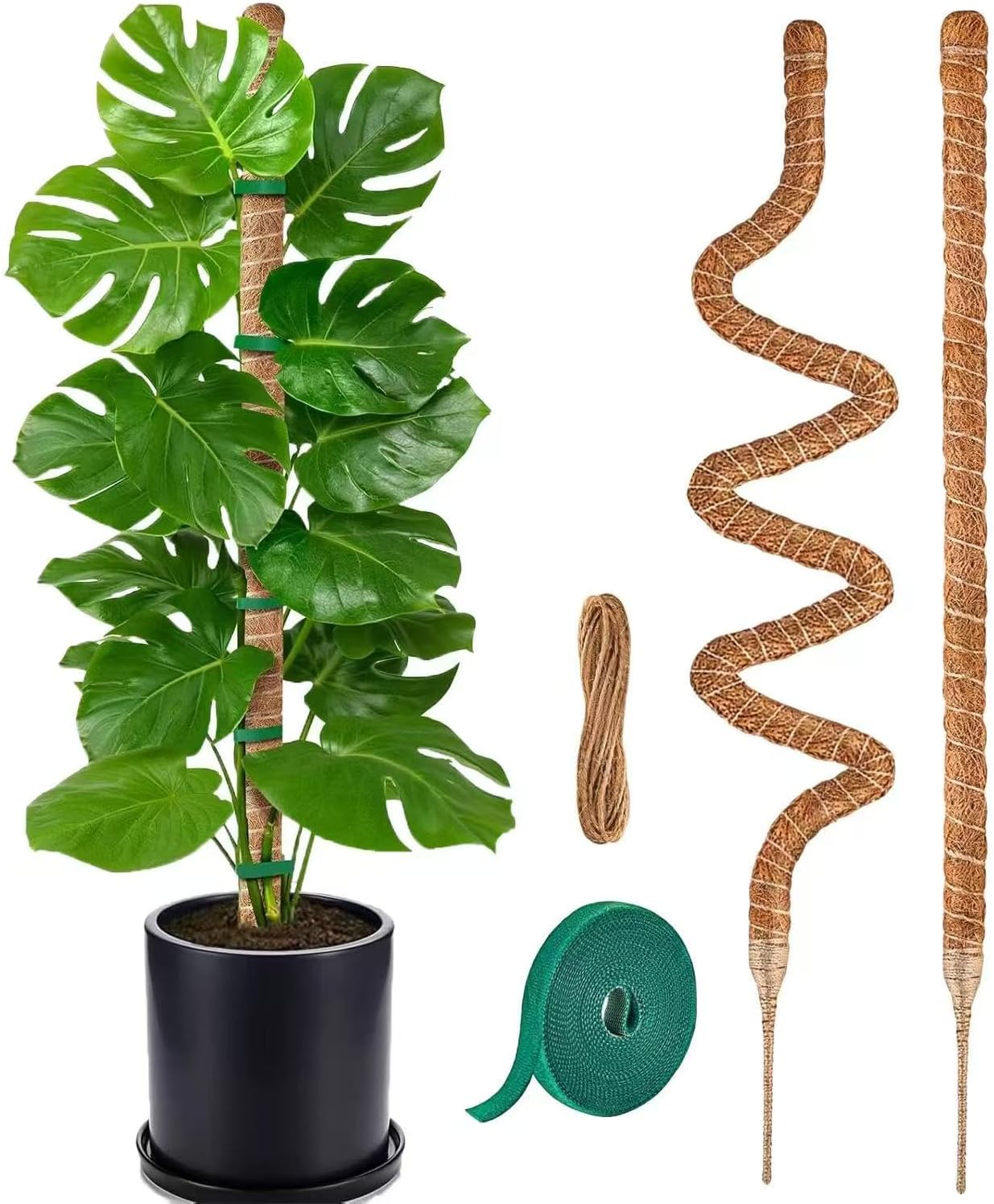 Soporte plantas monstera 28pulg fibra coco 2 pzas