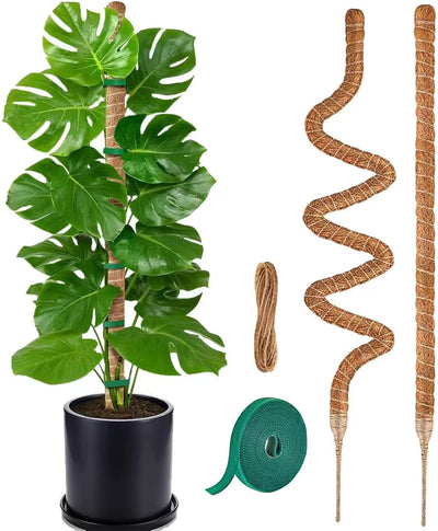 Soporte plantas monstera 28pulg fibra coco 2 pzas
