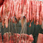 20 Ganchos Carne Acero Inox 5" para Colgar Pollo Caza