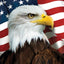Bandera patriótica casa del águila americana
