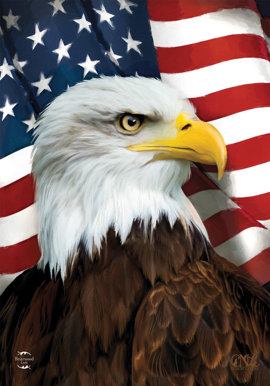Bandera patriótica casa del águila americana