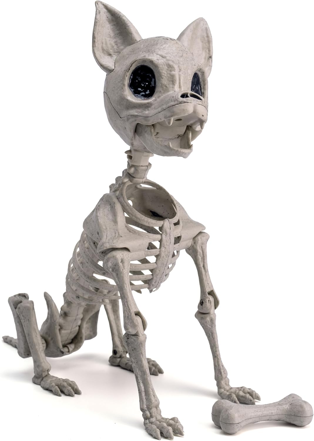 Esqueleto plástico perro Chihuahua 12.6" articulado