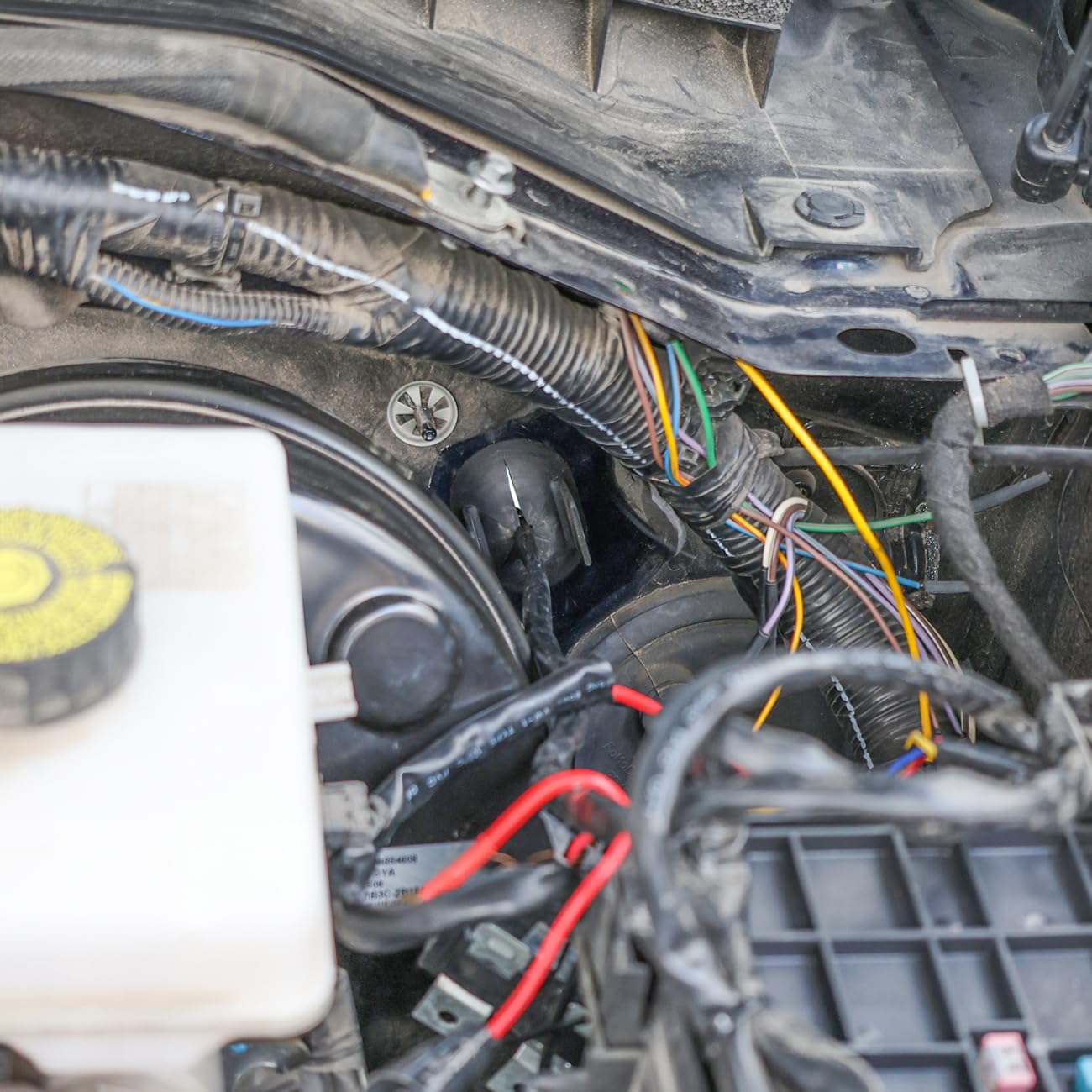 Arnés enchufe motor sellado compat. Ford Bronco 21-26